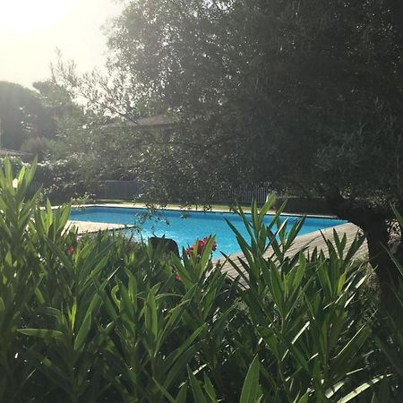 维琪奥港Appt T2 Standing Avec Piscine Et Terrasse公寓 外观 照片