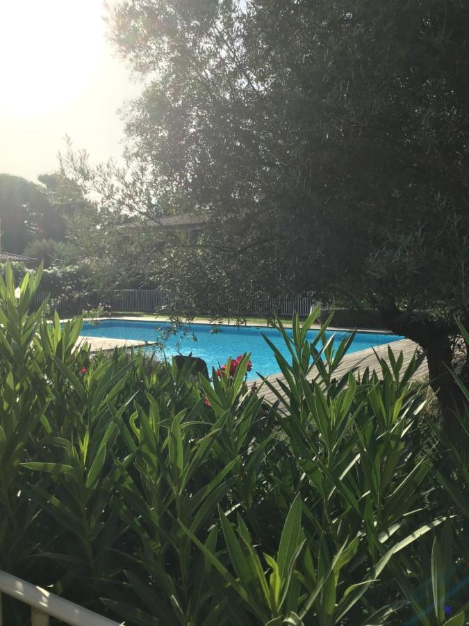 维琪奥港Appt T2 Standing Avec Piscine Et Terrasse公寓 外观 照片